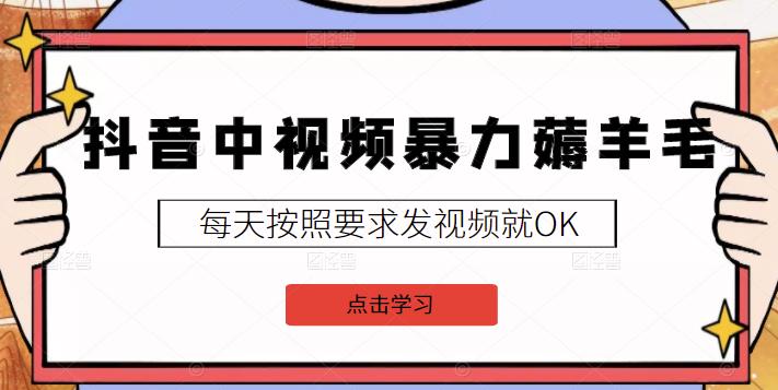 2022抖音中视频暴力薅羊毛白嫖项目：新号每天20块，老号几天几百块，可多号-问小徐资源宝库