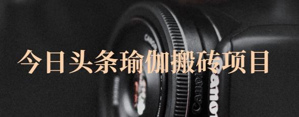 猎人社区·今日头条瑜伽搬砖项目，单号一天几十收入，可以批量操作！-问小徐资源宝库