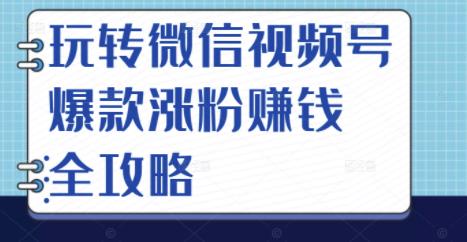 玩转微信视频号爆款涨粉赚钱全攻略，让你快速抓住流量风口，收获红利财富-问小徐资源宝库