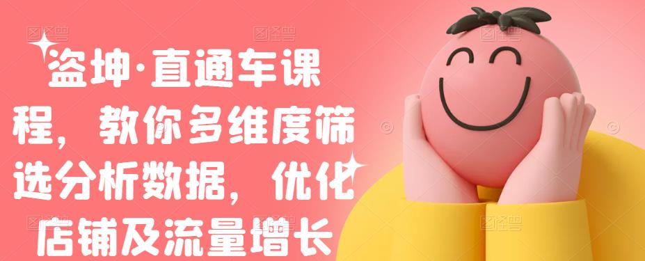 盗坤·直通车课程，教你多维度筛选分析数据，优化店铺及流量增长-问小徐资源宝库