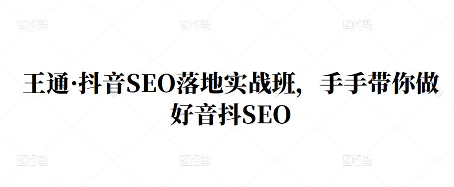 王通·抖音SEO落地实战班，手‬手带你做好音抖‬‬SEO-问小徐资源宝库