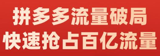 阿杰·拼多多流量破局:如何打黑标，爆款的思路，拼多多流量框架，快速抢占百亿流量-问小徐资源宝库