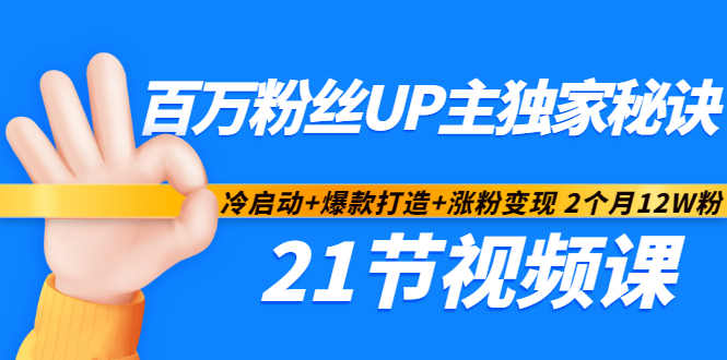 百万粉丝UP主独家秘诀：冷启动+爆款打造+涨粉变现2个月12W粉（21节视频课)-问小徐资源宝库