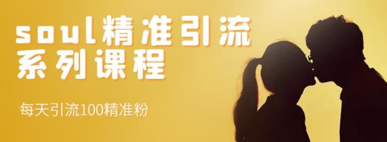 soul精准引流系列课程，每天引流100精准粉-问小徐资源宝库