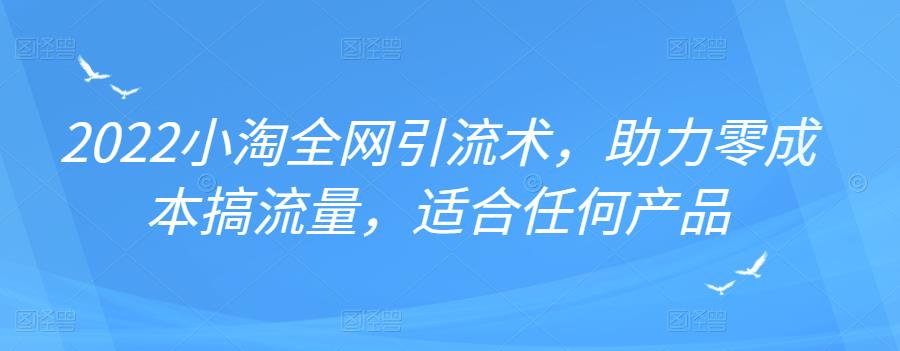 2022年小淘全网引流术，助力零成本搞流量，适合任何产品-问小徐资源宝库