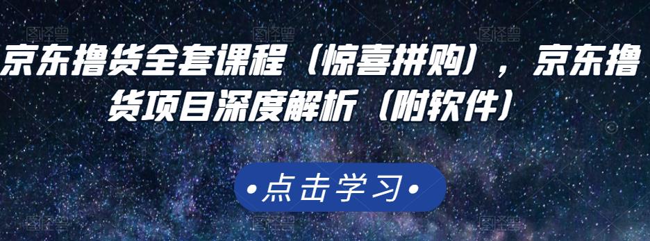 京东撸货全套课程（惊喜拼购），京东撸货项目深度解析（附软件）-问小徐资源宝库