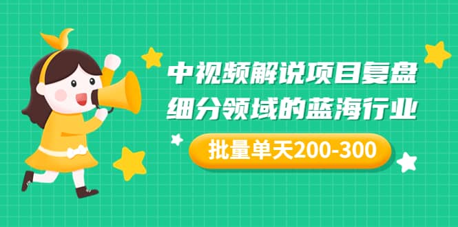 某付费文章：中视频解说项目复盘：细分领域的蓝海行业 批量单天200-300收益-问小徐资源宝库