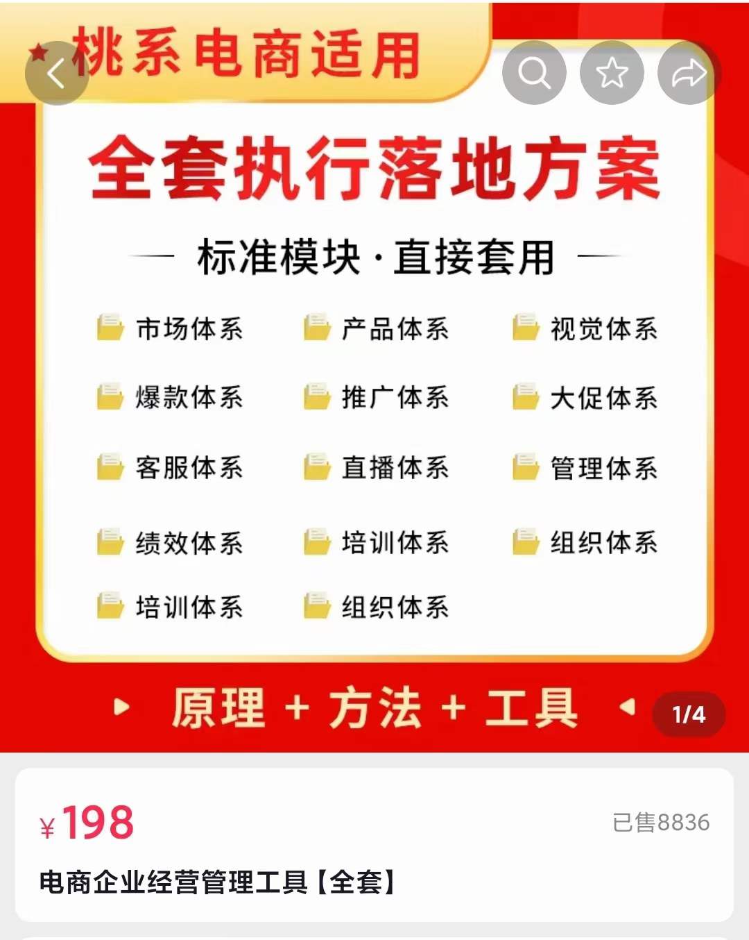 外面卖198·电商企业经营管理工具：全套执行落地方案 标准模块·直接套用-问小徐资源宝库
