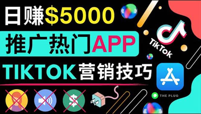 无需露脸，无需录音，无需投资，TIKTOK上传短视频，最高日入5000美元-问小徐资源宝库