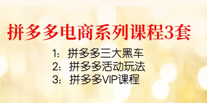 拼多多电商系列课程3套：拼多多三大黑车+拼多多活动玩法+拼多多VIP课程-问小徐资源宝库