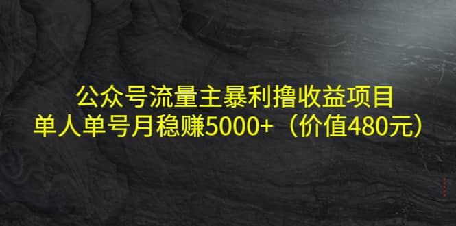 公众号流量主暴利撸收益项目，单人单号月稳赚5000+（价值480元）-问小徐资源宝库