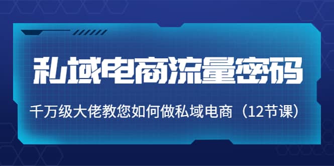 私域电商流量密码：千万级大佬教您如何做私域电商（12节课）-问小徐资源宝库