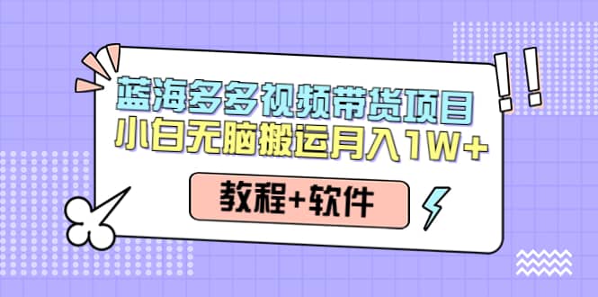 人人都能操作的蓝海多多视频带货项目 小白无脑搬运（教程+软件）-问小徐资源宝库