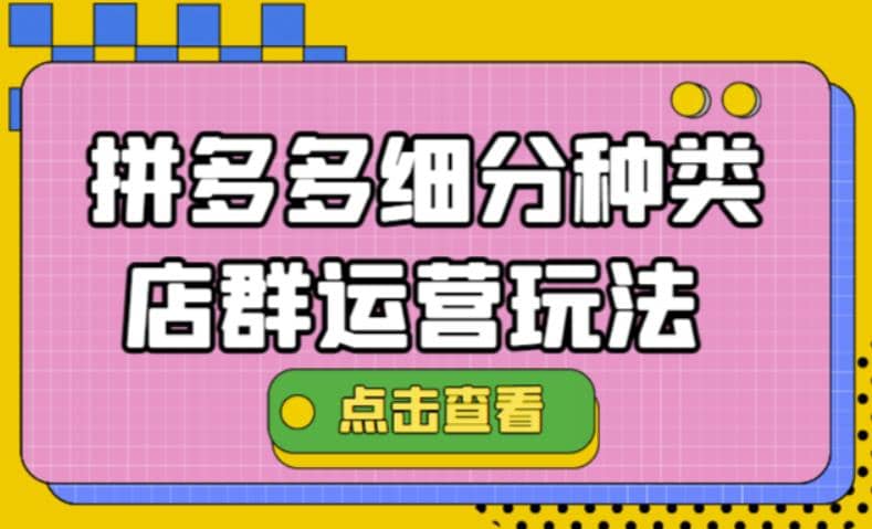 拼多多细分种类店群运营玩法3.0，11月最新玩法，小白也可以操作-问小徐资源宝库