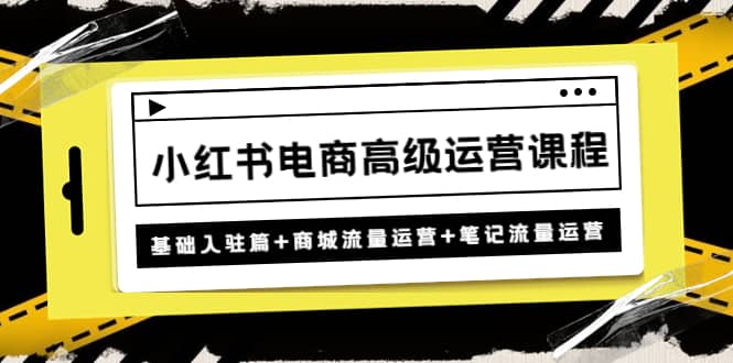 小红书电商高级运营课程：基础入驻篇+商城流量运营+笔记流量运营-问小徐资源宝库