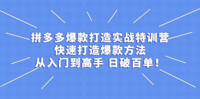 拼多多爆款打造实战特训营：快速打造爆款方法，从入门到高手 日破百单-问小徐资源宝库