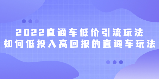 2022直通车低价引流玩法，教大家如何低投入高回报的直通车玩法-问小徐资源宝库