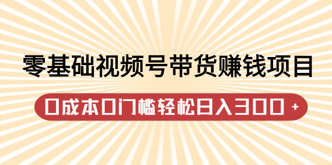 零基础视频号带货赚钱项目，0成本0门槛轻松日入300+【视频教程】-问小徐资源宝库
